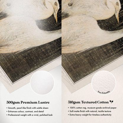 Paper Comparison