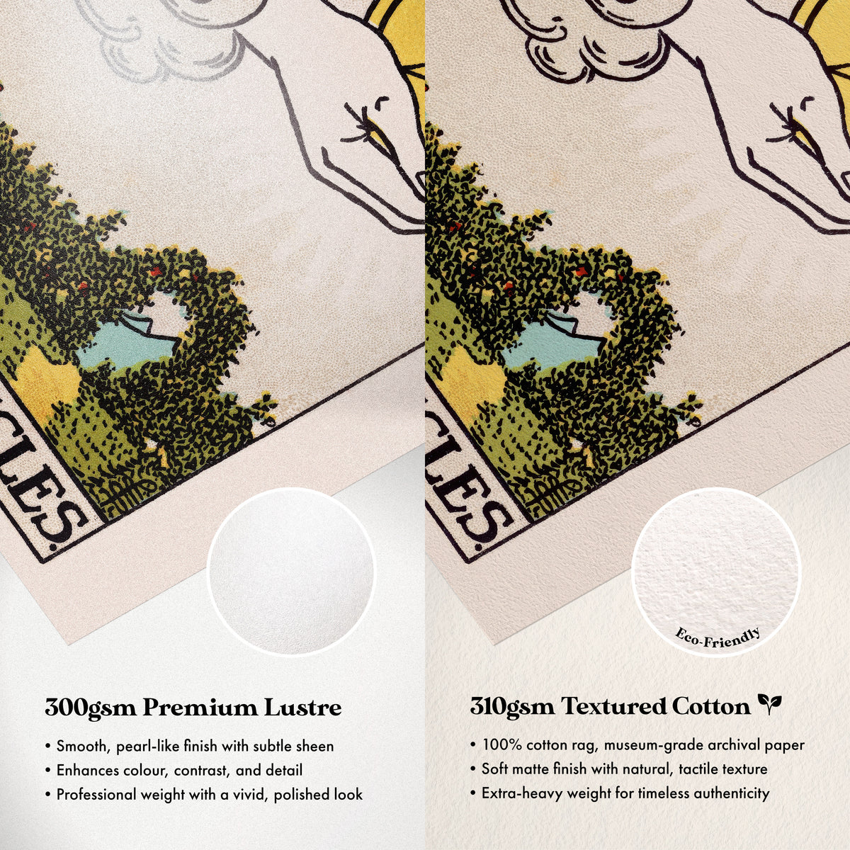 Paper Comparison