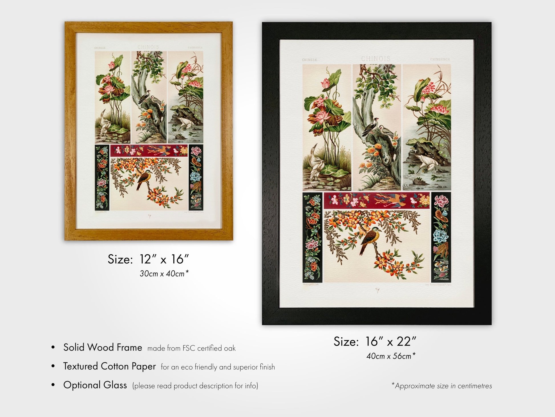 ALBERT RACINET - Set of 3 Chinese Patterns - Pathos Studio - Art Print Sets