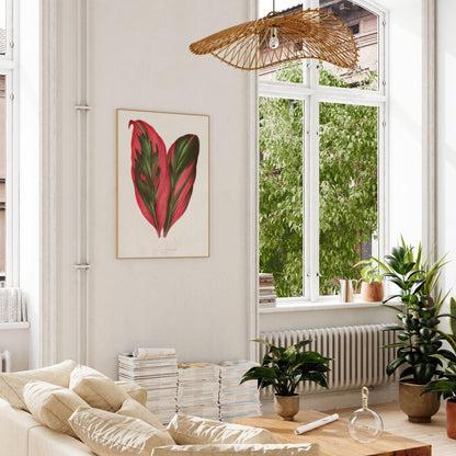 Alexander Francis Lydon - Pink Dracaena Terminalis from 'Les Plantes à Feuillage Coloré' | Art Prints | Pathos Studio