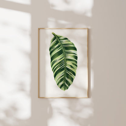 Alexander Francis Lydon - Set of 3 Leaf Prints from 'Les Plantes à Feuillage Coloré' | Art Print Sets | Pathos Studio