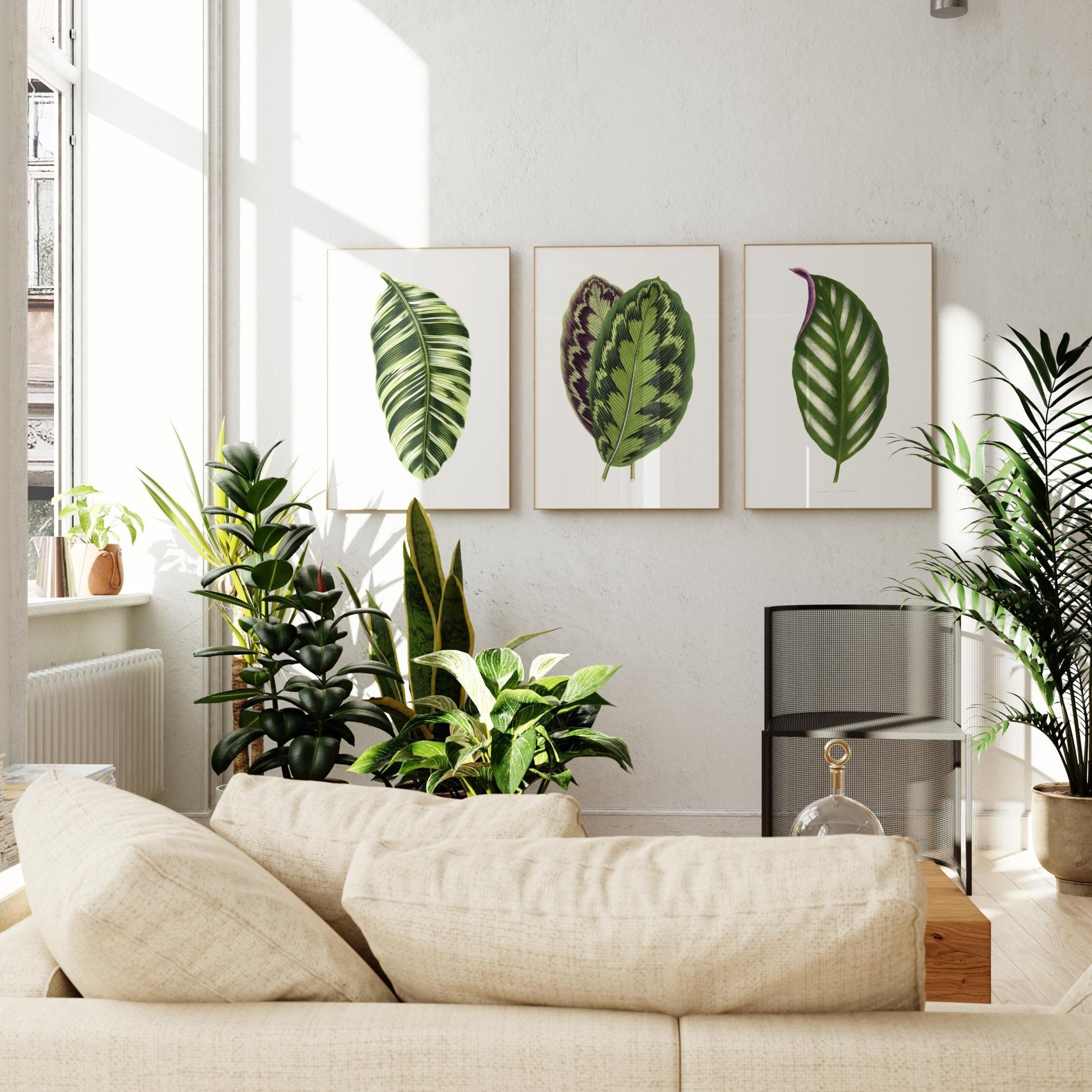 Alexander Francis Lydon - Set of 3 Leaf Prints from 'Les Plantes à Feuillage Coloré' | Art Print Sets | Pathos Studio