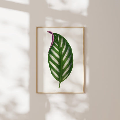 Alexander Francis Lydon - Set of 3 Leaf Prints from 'Les Plantes à Feuillage Coloré' | Art Print Sets | Pathos Studio