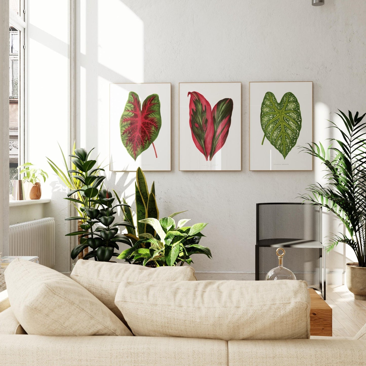 Alexander Francis Lydon - Set of 3 Leaf Prints from 'Les Plantes à Feuillage Coloré' | Art Print Sets | Pathos Studio