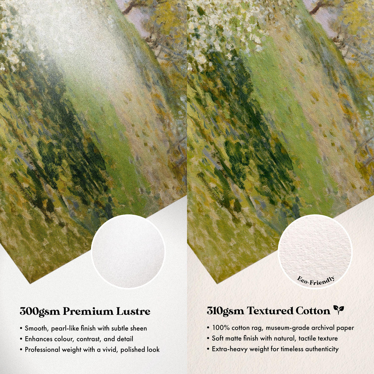 Paper Comparison
