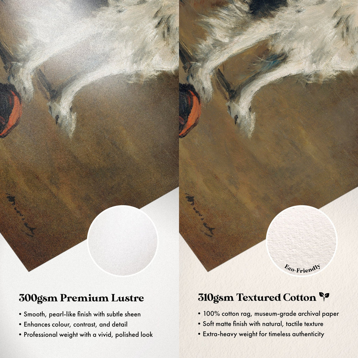 Paper Comparison