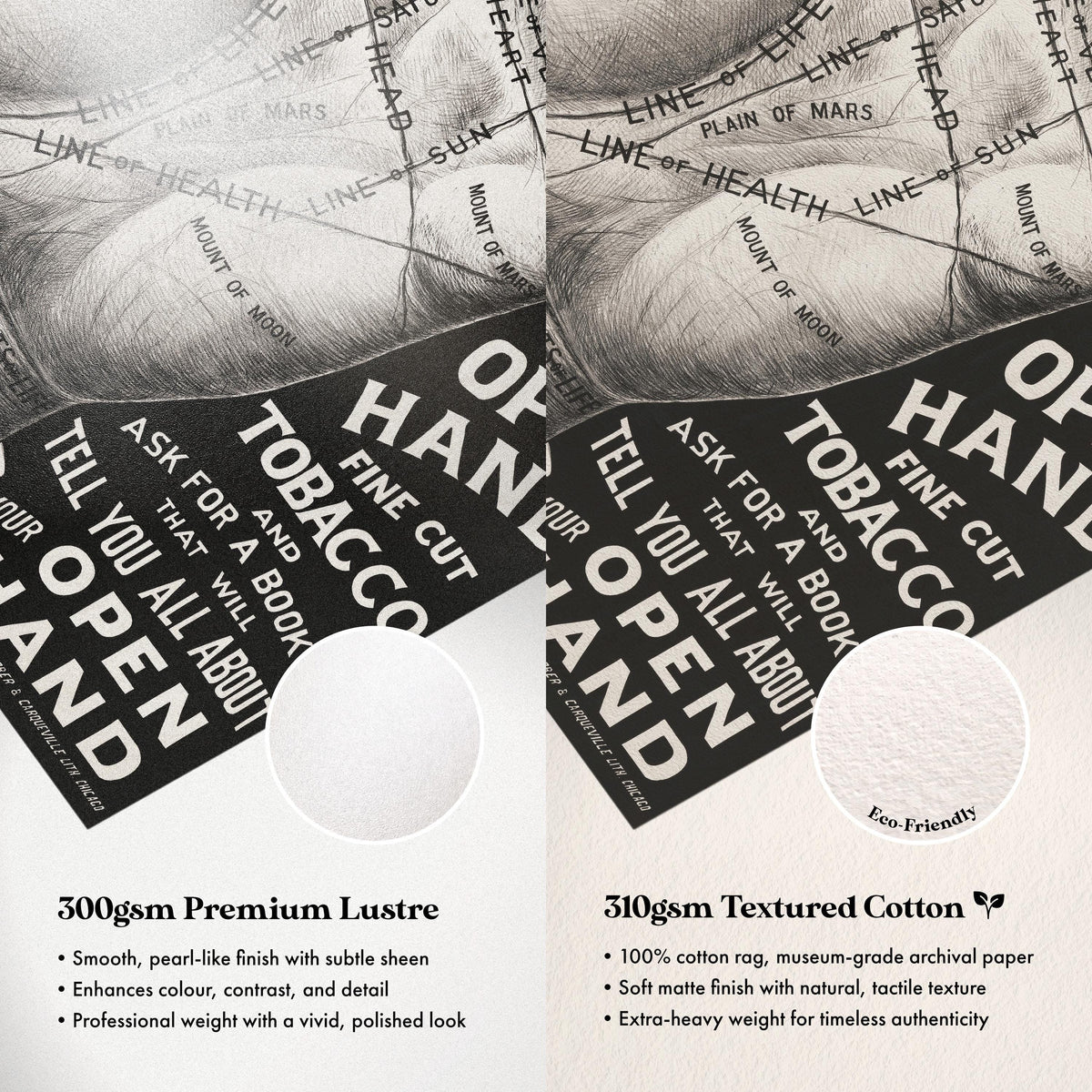 Paper Comparison