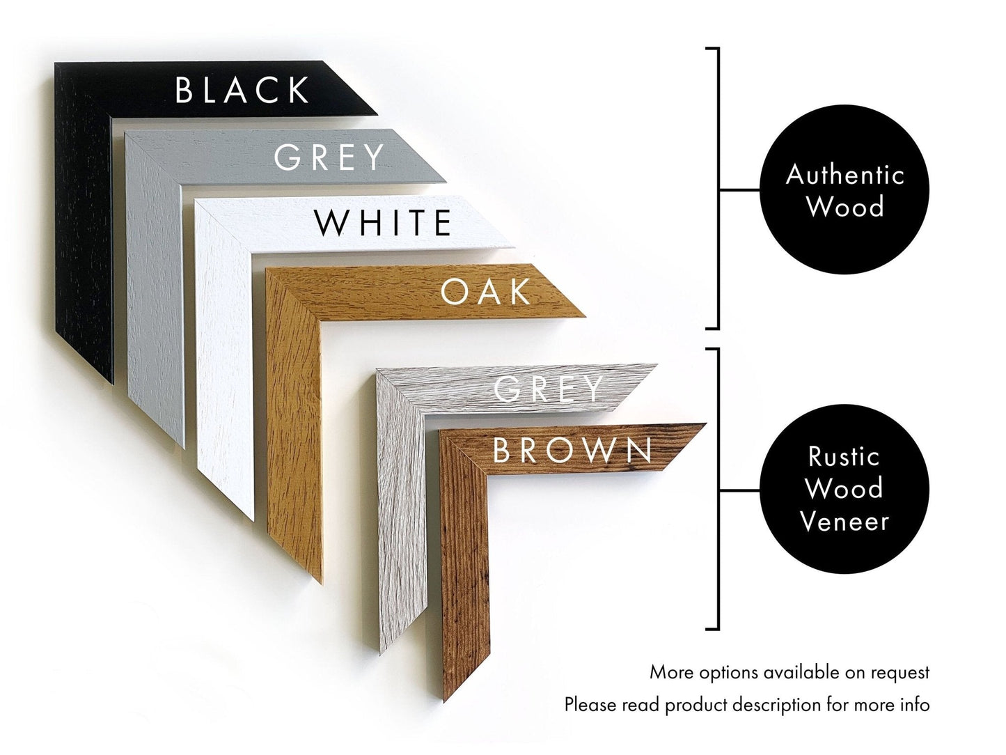 Henri Matisse - Goldfish (Color Palette Poster) | Art Prints | Pathos Studio