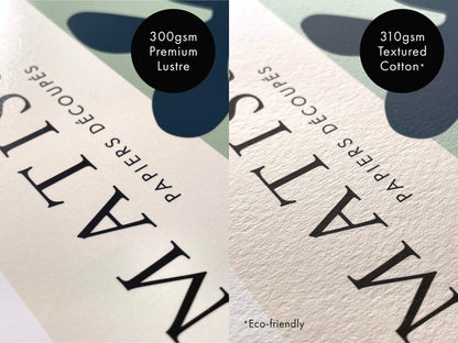 Henri Matisse - Goldfish (Color Palette Poster) | Art Prints | Pathos Studio