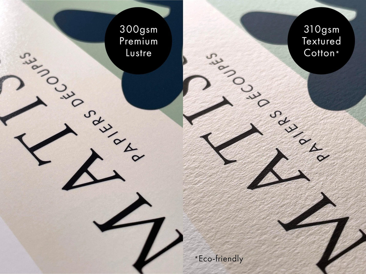 Julie De Graag - Dog's Head | Art Prints | Pathos Studio