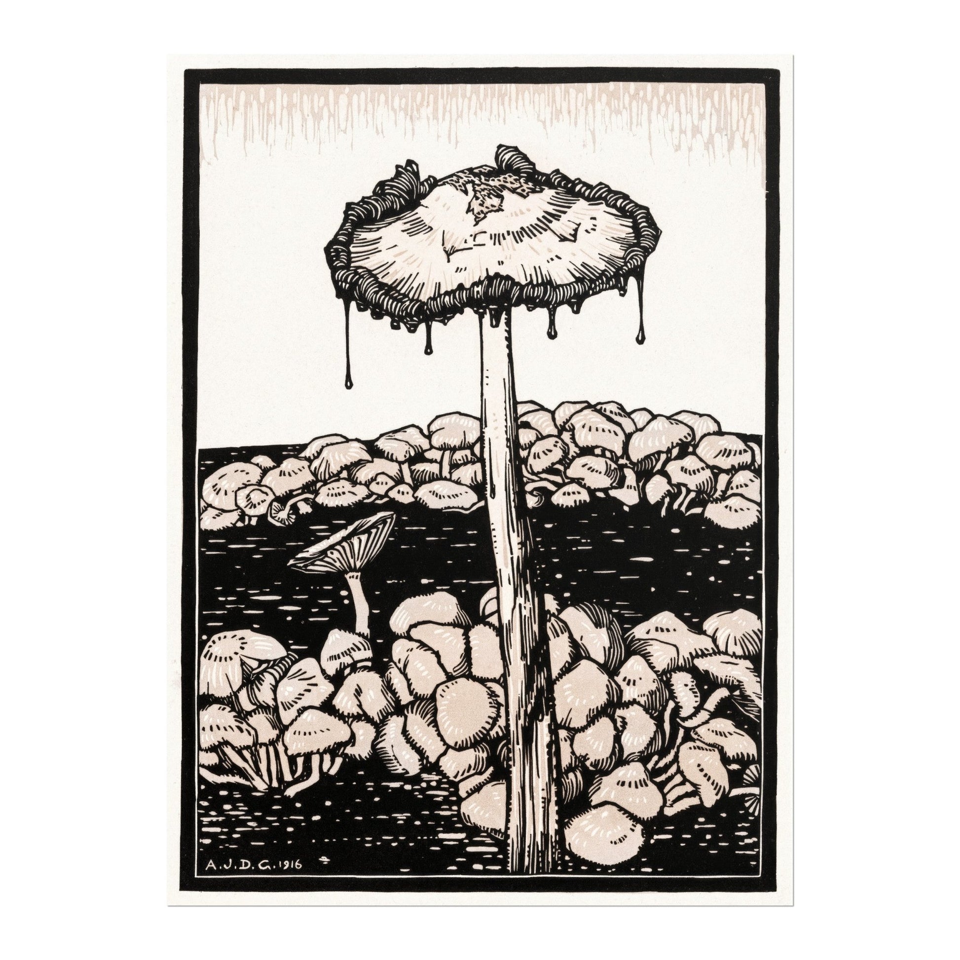 Julie De Graag - Dripping Mushroom | Art Prints | Pathos Studio