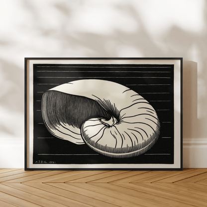 Julie De Graag - Shell | Art Prints | Pathos Studio