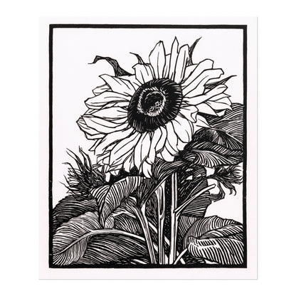 Julie De Graag - Sunflower | Art Prints | Pathos Studio
