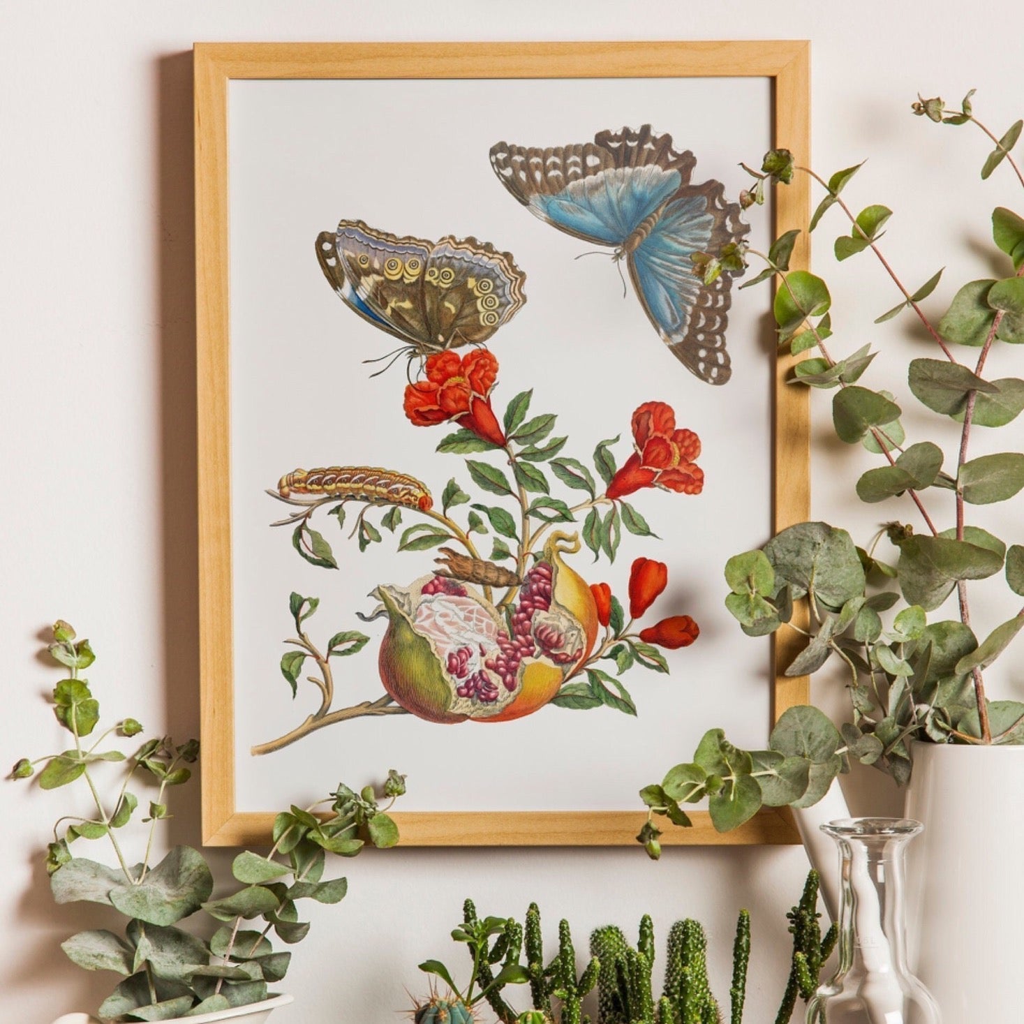 MARIA SIBYLLA MERIAN - Pomegranate Tree With Caterpillar & Butterfly (Giclée Art Print) - Pathos Studio - Marketplace Listings