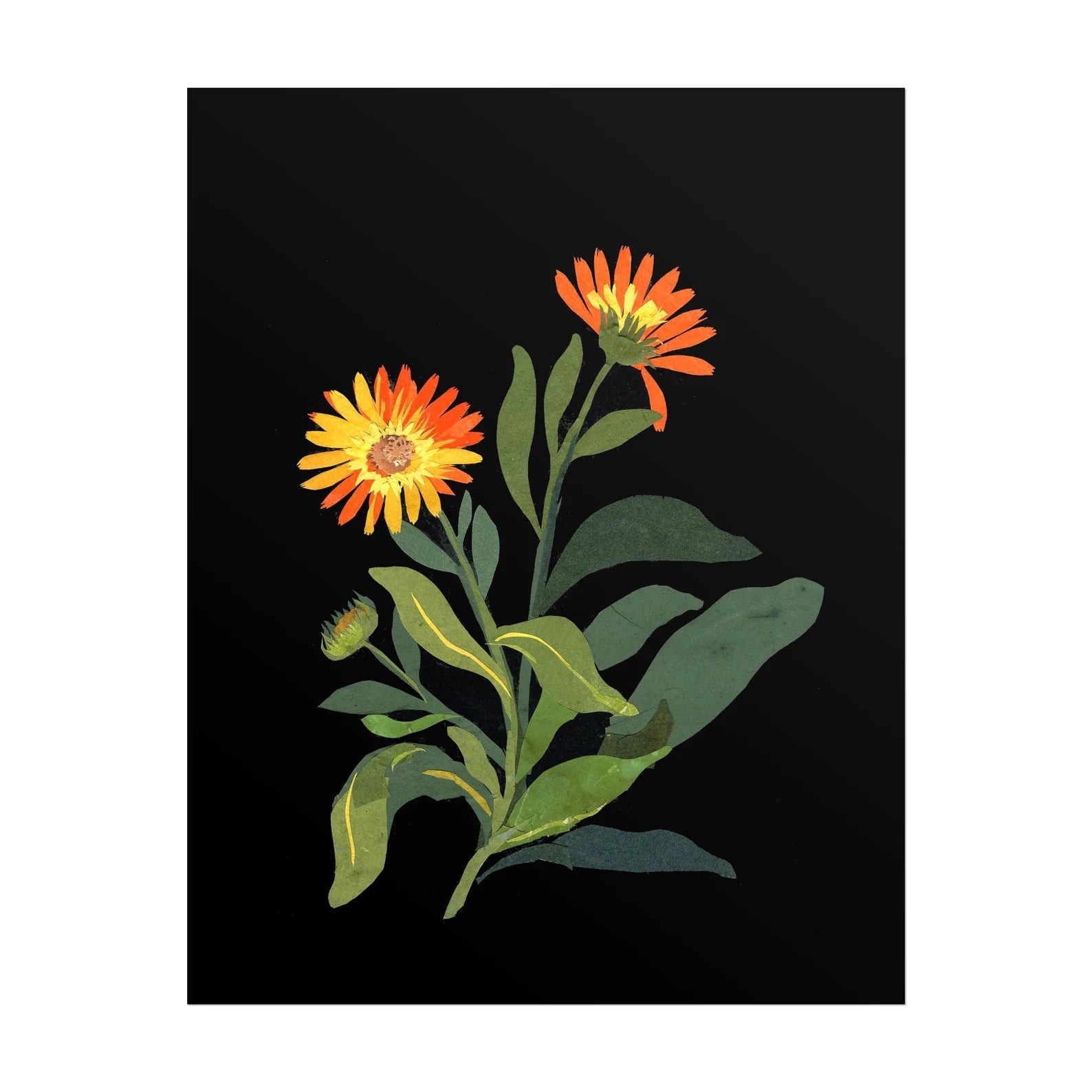 MARY DELANY - Marigold - Pathos Studio - Art Prints