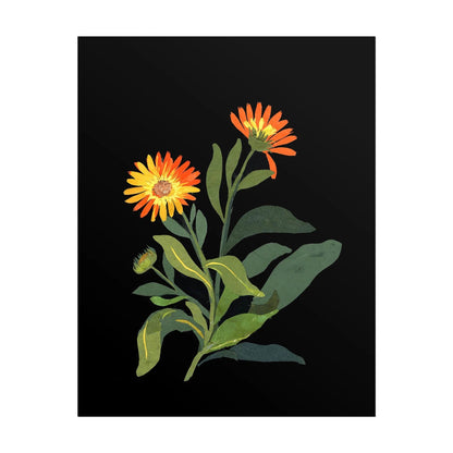 MARY DELANY - Marigold - Pathos Studio - Art Prints