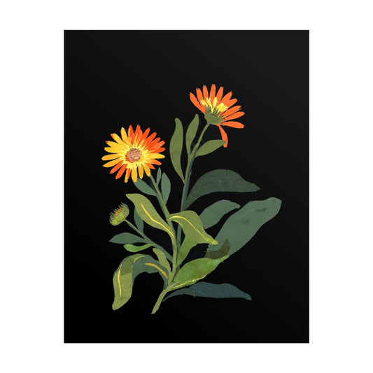 MARY DELANY - Marigold (Giclée Art Print) - Pathos Studio - Marketplace Listings