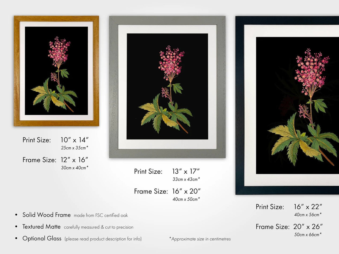 MARY DELANY - Red Meadow Flowers - Pathos Studio - Art Prints