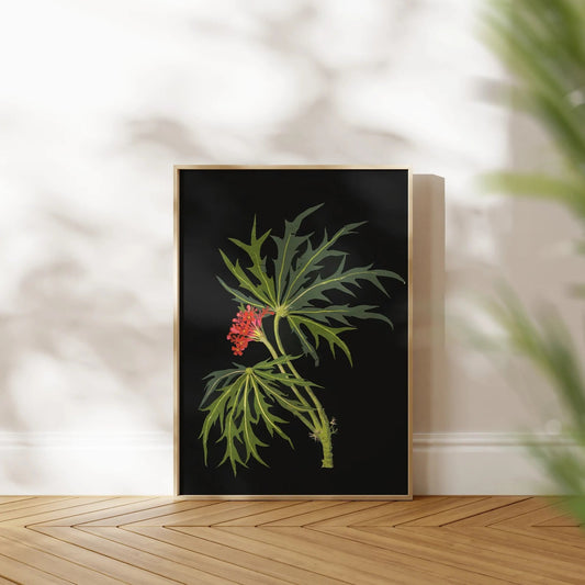 MARY DELANY - Scarlet - Flowered Phyvic - Nut - Pathos Studio - Art Prints