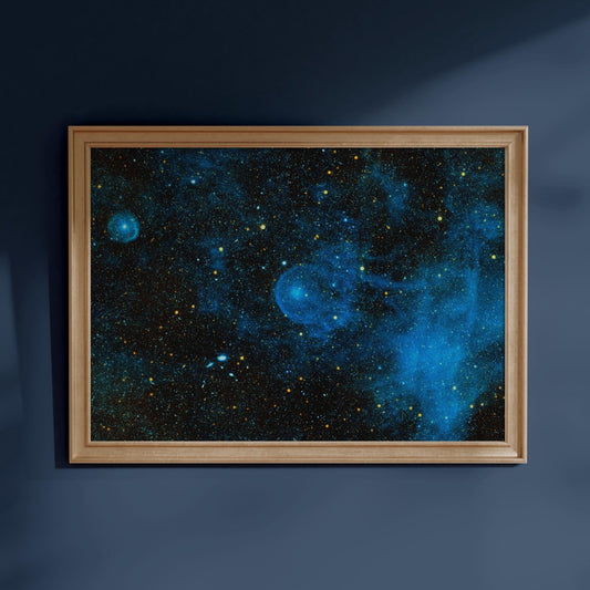 NASA - CW Leo | Art Prints | Pathos Studio