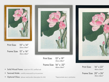 OHARA KOSON - Blossoming Lotus Flowers - Pathos Studio - Art Prints