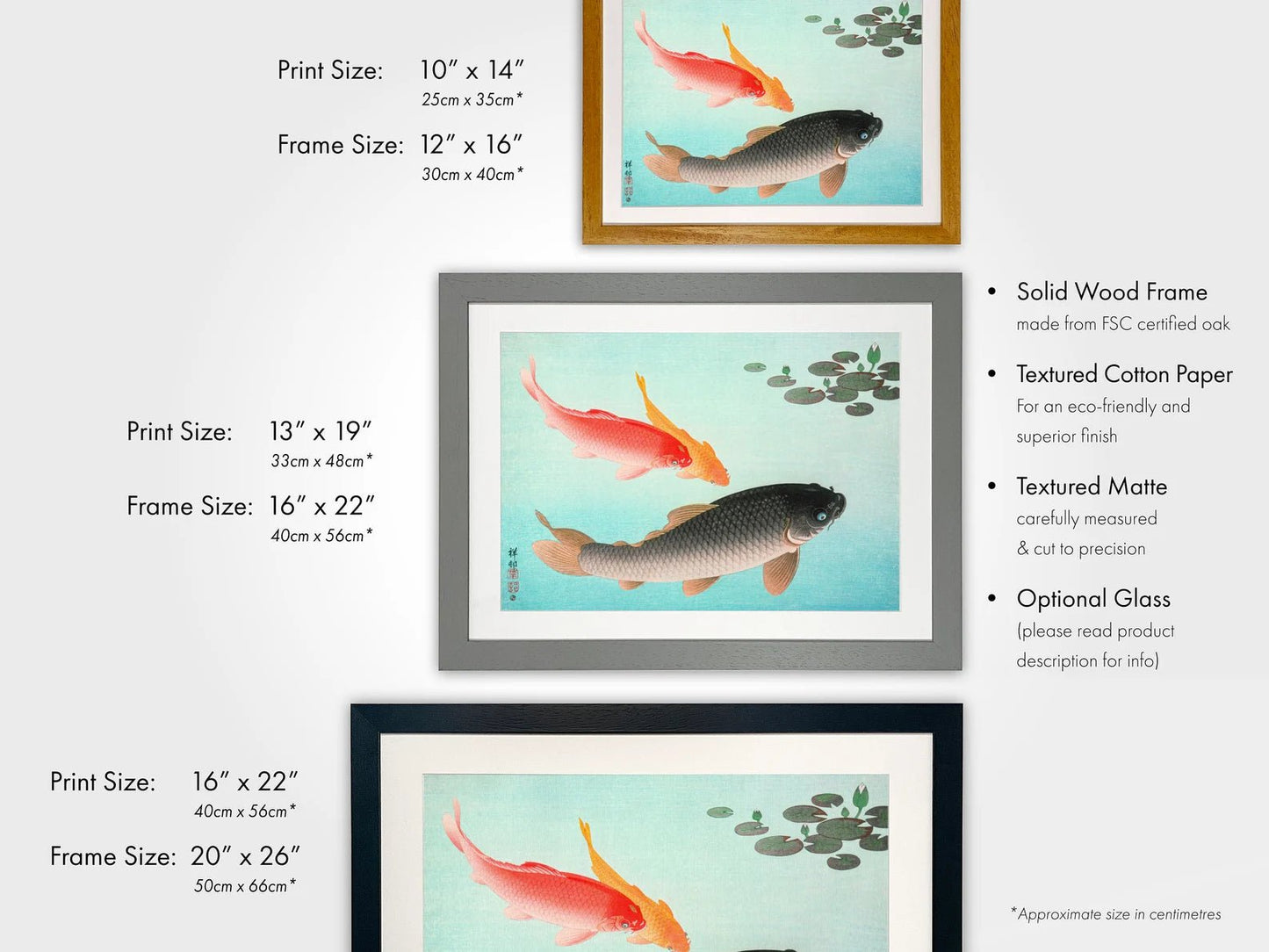 OHARA KOSON - Common and Golden Carp - Pathos Studio - Art Prints