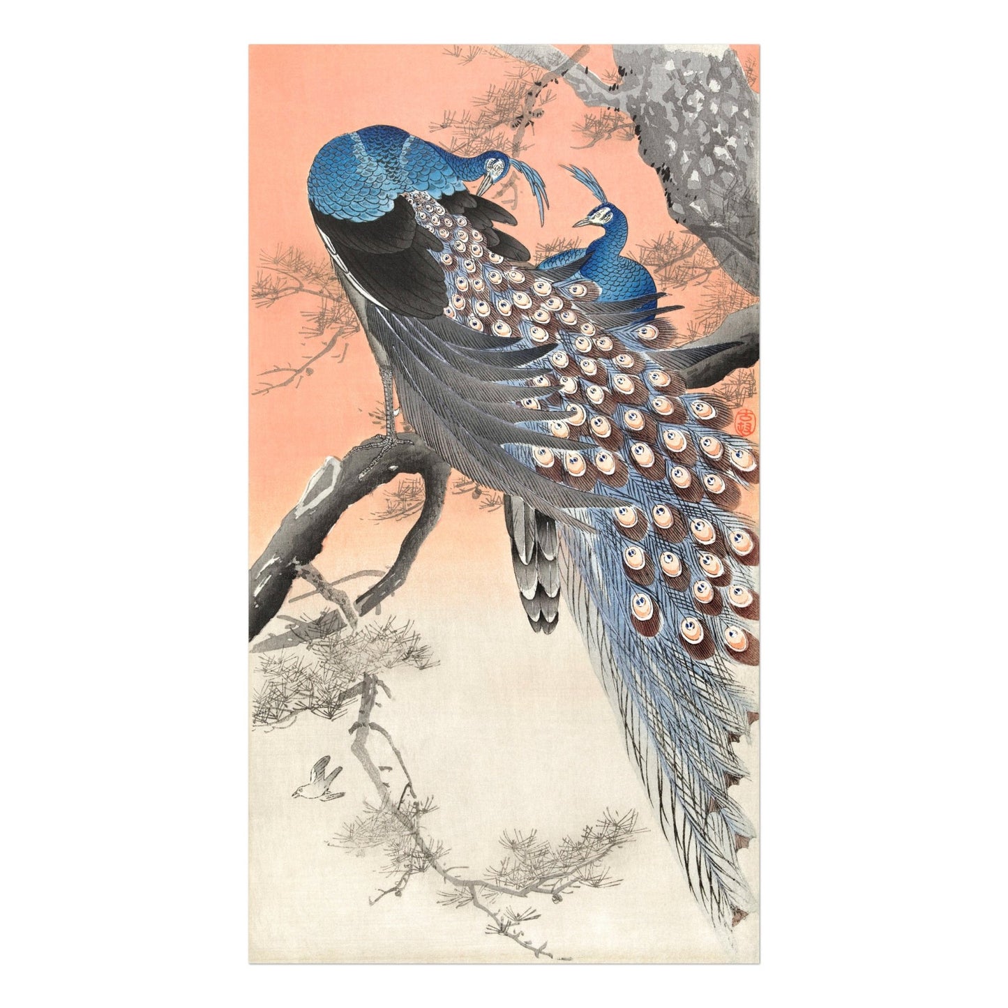 OHARA KOSON - Two Peacocks on Tree Branch (Giclée Art Print) - Pathos Studio - Marketplace Listings