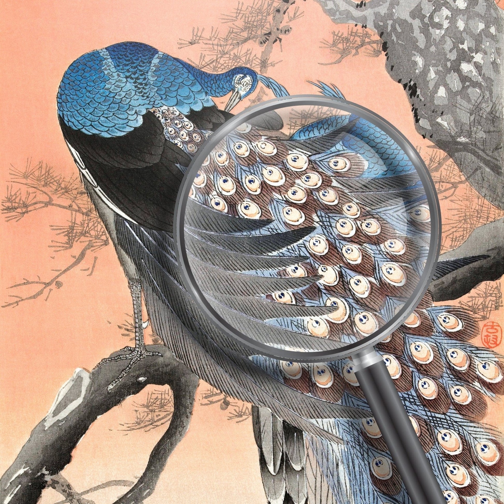 OHARA KOSON - Two Peacocks on Tree Branch (Giclée Art Print) - Pathos Studio - Marketplace Listings