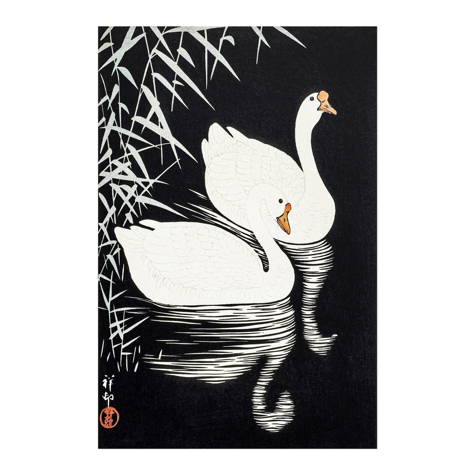 OHARA KOSON - White Chinese Geese Swimming by Reeds - Pathos Studio - Art Prints