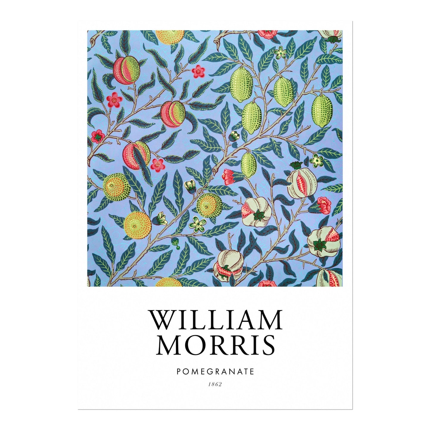 Pomegranate (Poster Style) - Pathos Studio - Art Prints