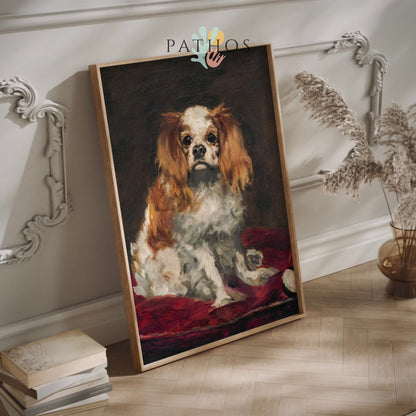 A King Charles Spaniel