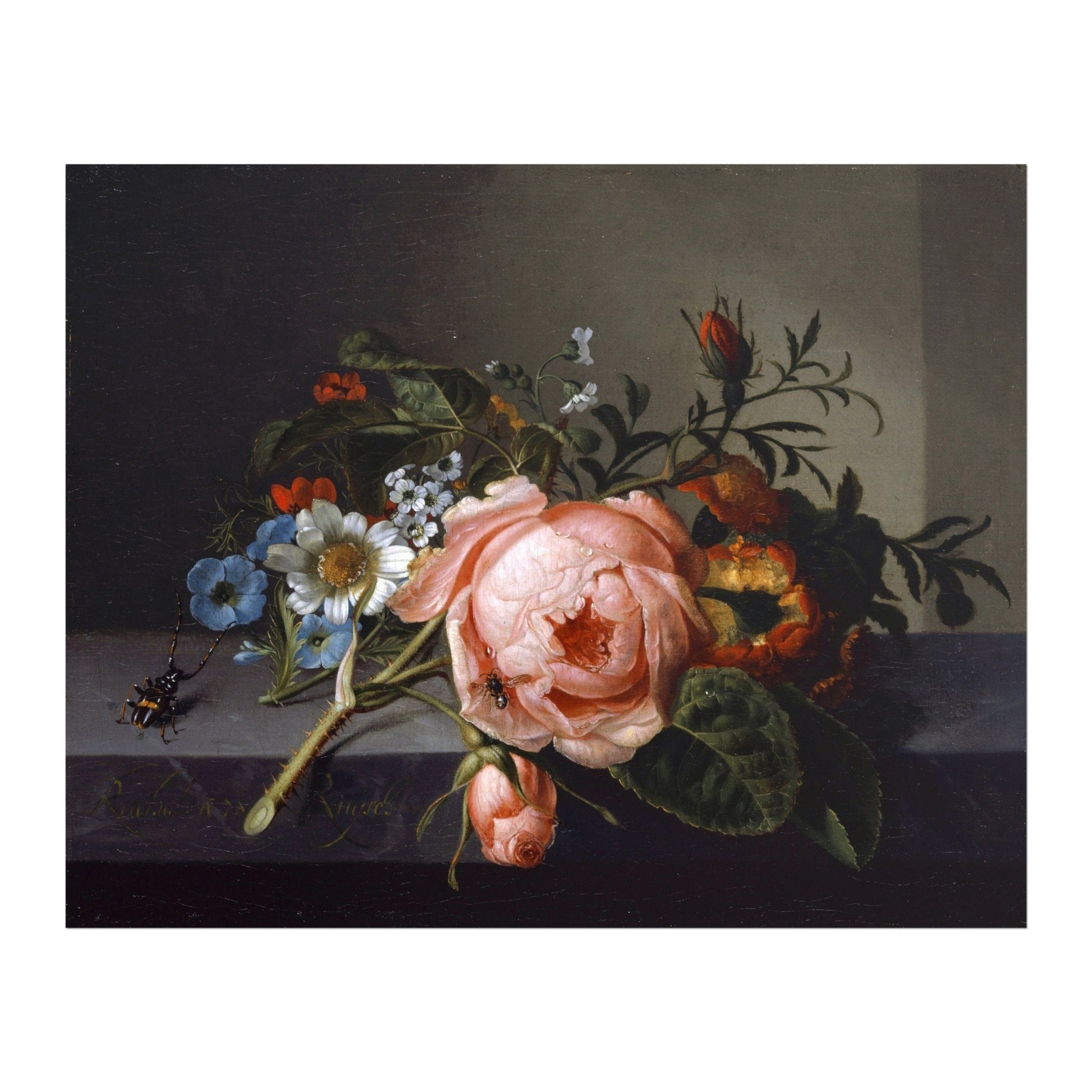 RACHEL RUYSCH - Still Life With A Rose Branch, Beetle And Bee (Giclée Art Print) - Pathos Studio - Marketplace Listings