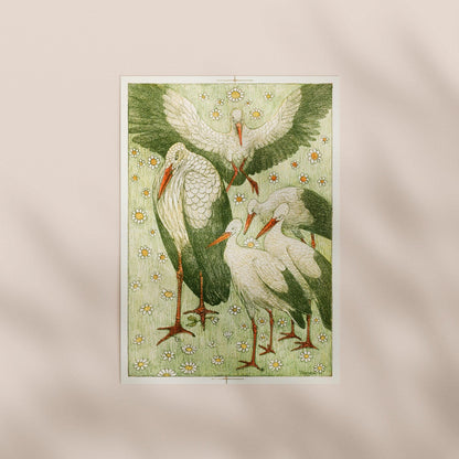 Print Only