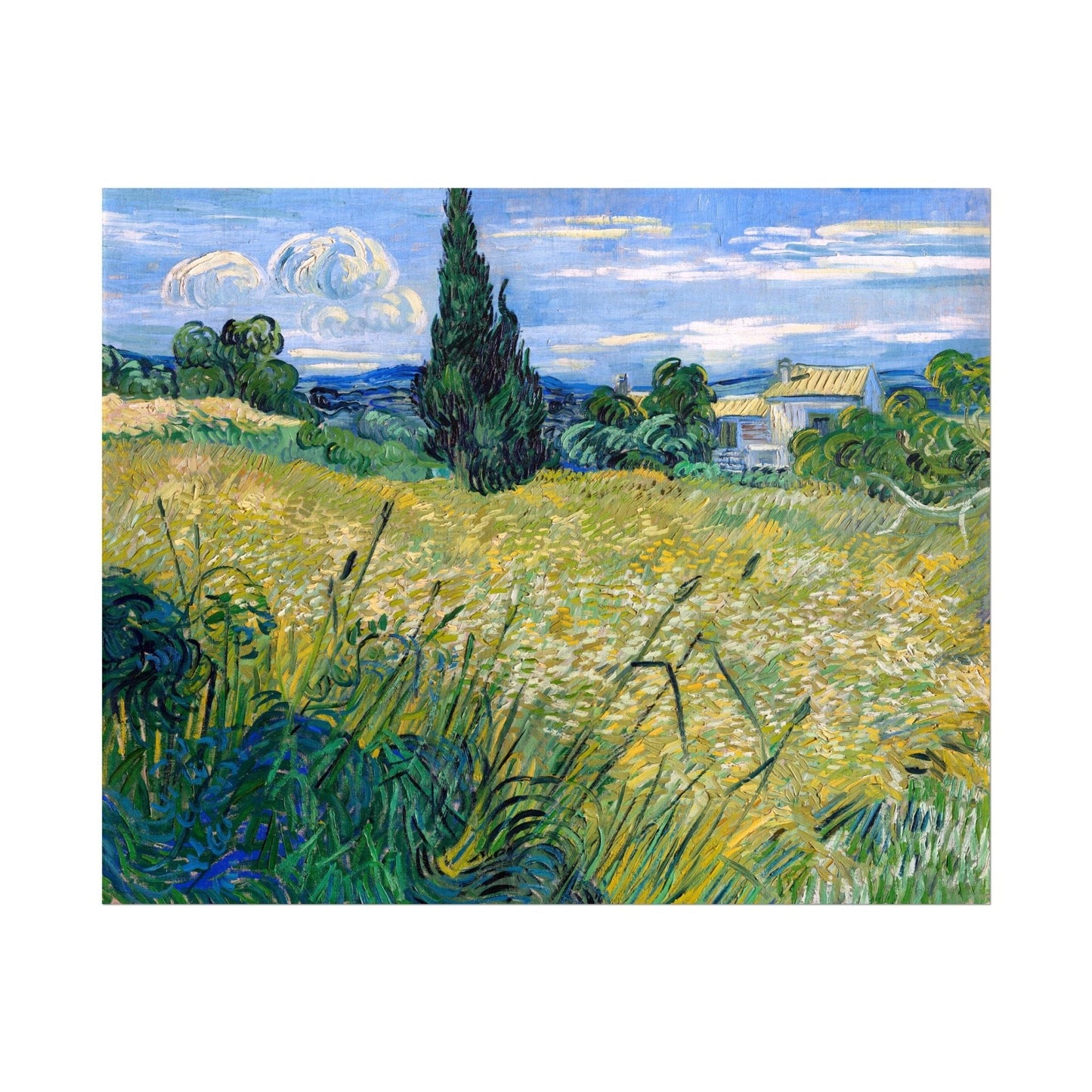 VINCENT VAN GOGH - Green Wheat Field With Cypress - Pathos Studio - Art Prints