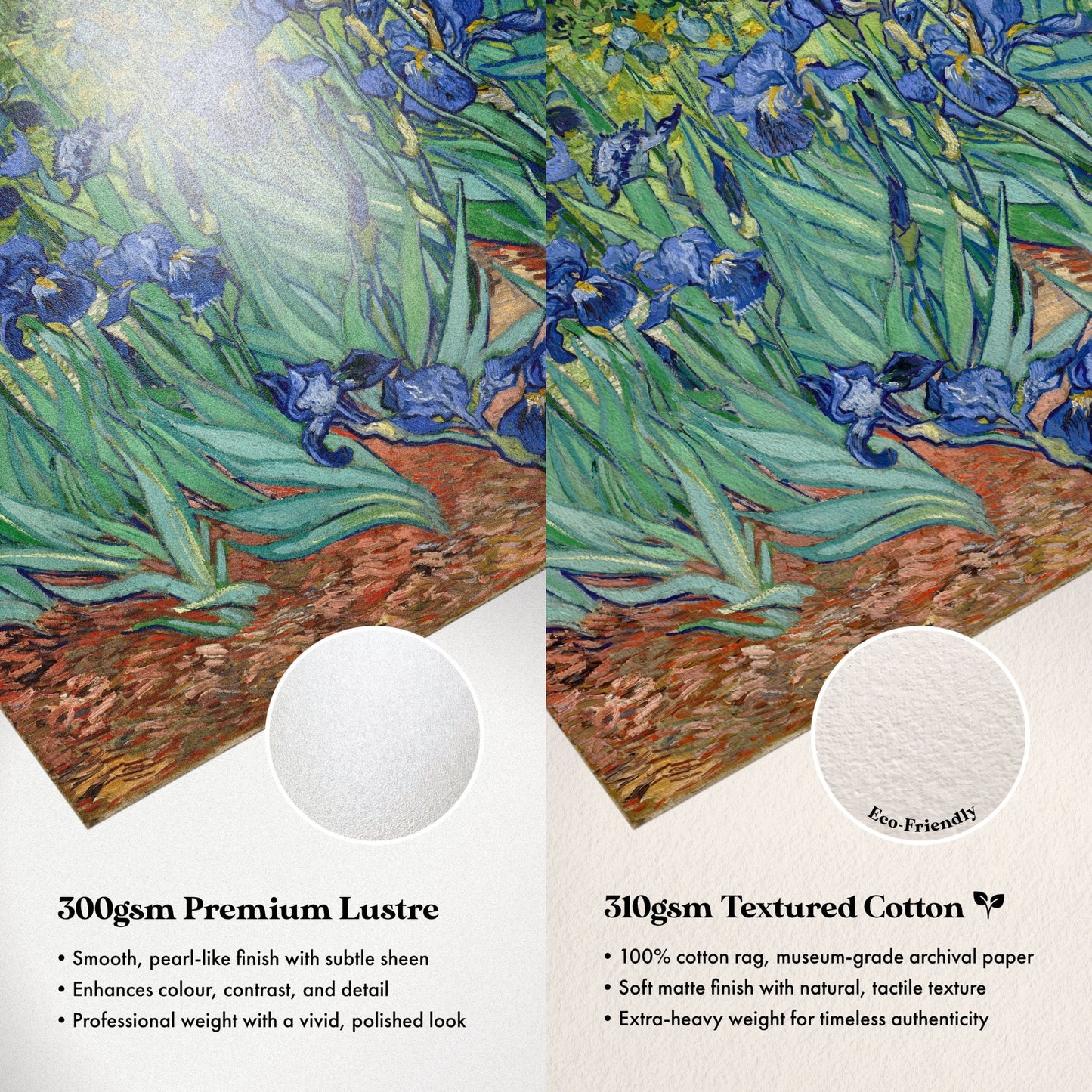 Vincent Van Gogh - Irises | Art Prints | Pathos Studio