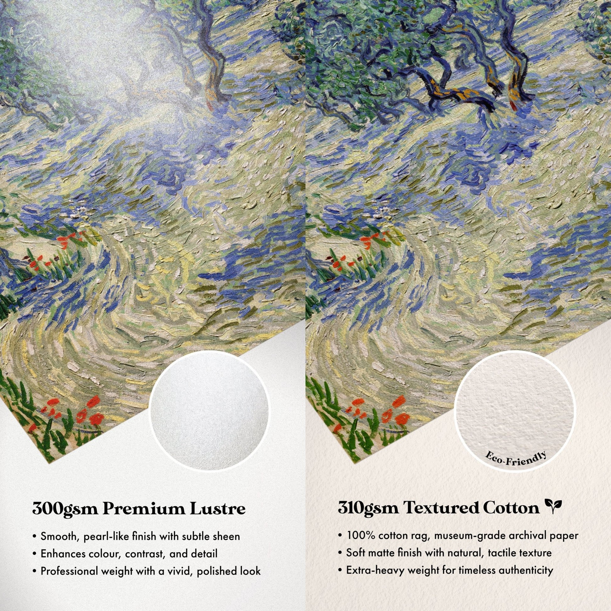 Vincent Van Gogh - Olive Orchard | Art Prints | Pathos Studio