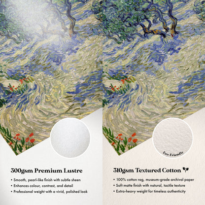 Vincent Van Gogh - Olive Orchard | Art Prints | Pathos Studio