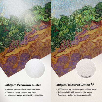 Vincent Van Gogh - Olive Trees | Art Prints | Pathos Studio