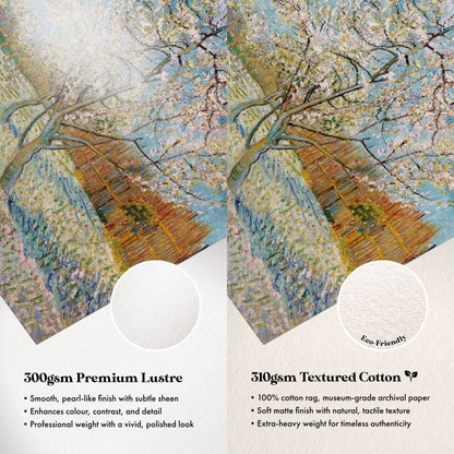 Vincent Van Gogh - Peach Tree In Blossom | Art Prints | Pathos Studio