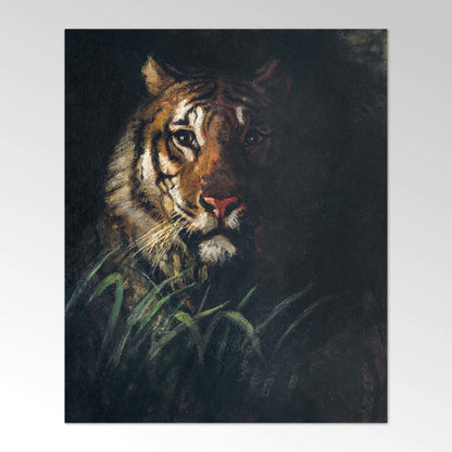 ABBOTT HANDERSON THAYER – Tigerkopf