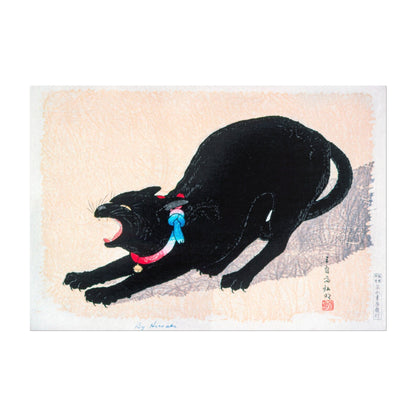 HIROAKI TAKAHASHI - Black Cat Hissing - Pathos Studio -