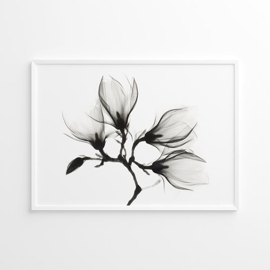 Magnolia Branch with Four Flowers - Pathos Studio - Art Prints