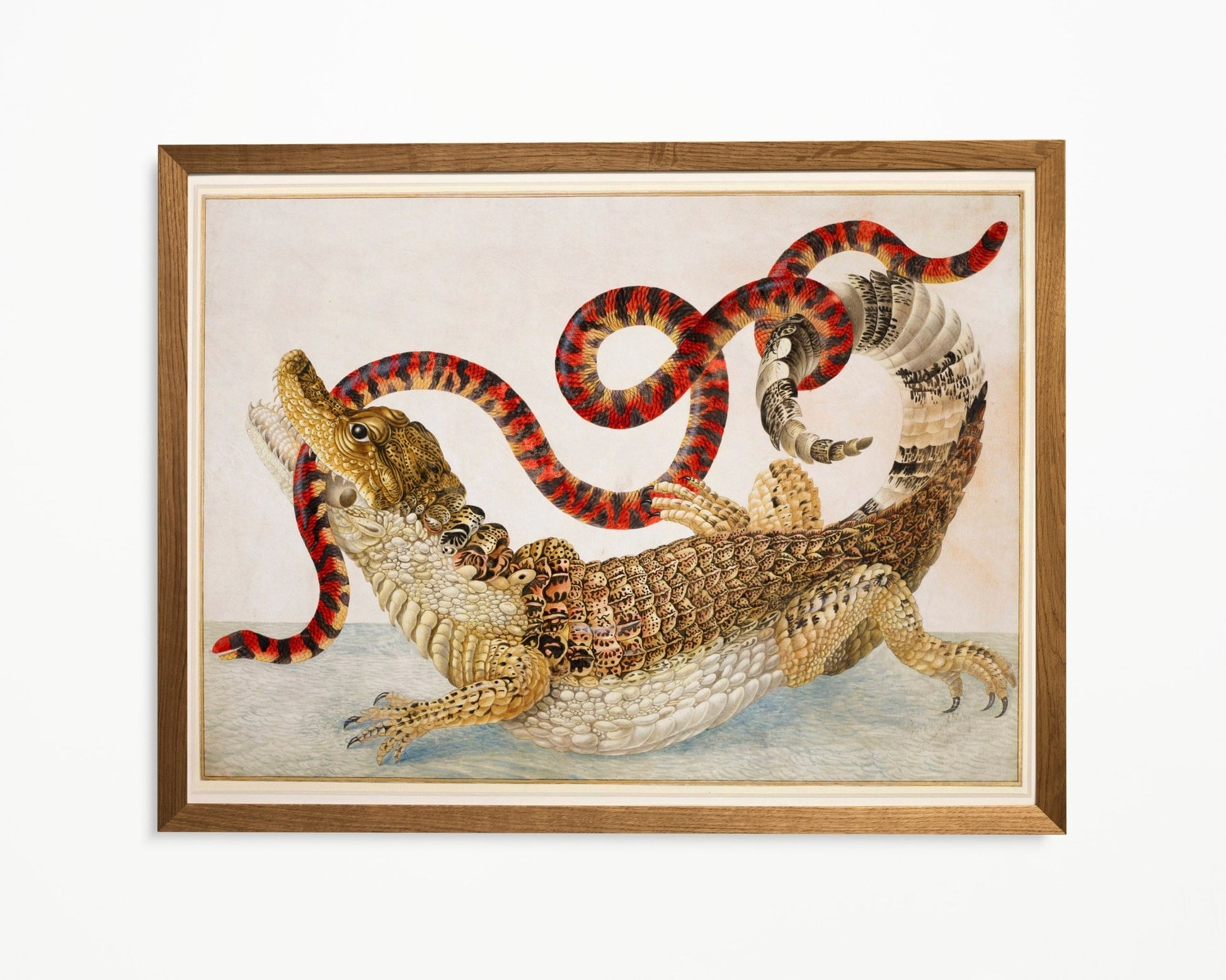 MARIA SIBYLLA MERIAN - Crocodile of Surinam with Snake - Pathos Studio - Posters, Prints, & Visual Artwork