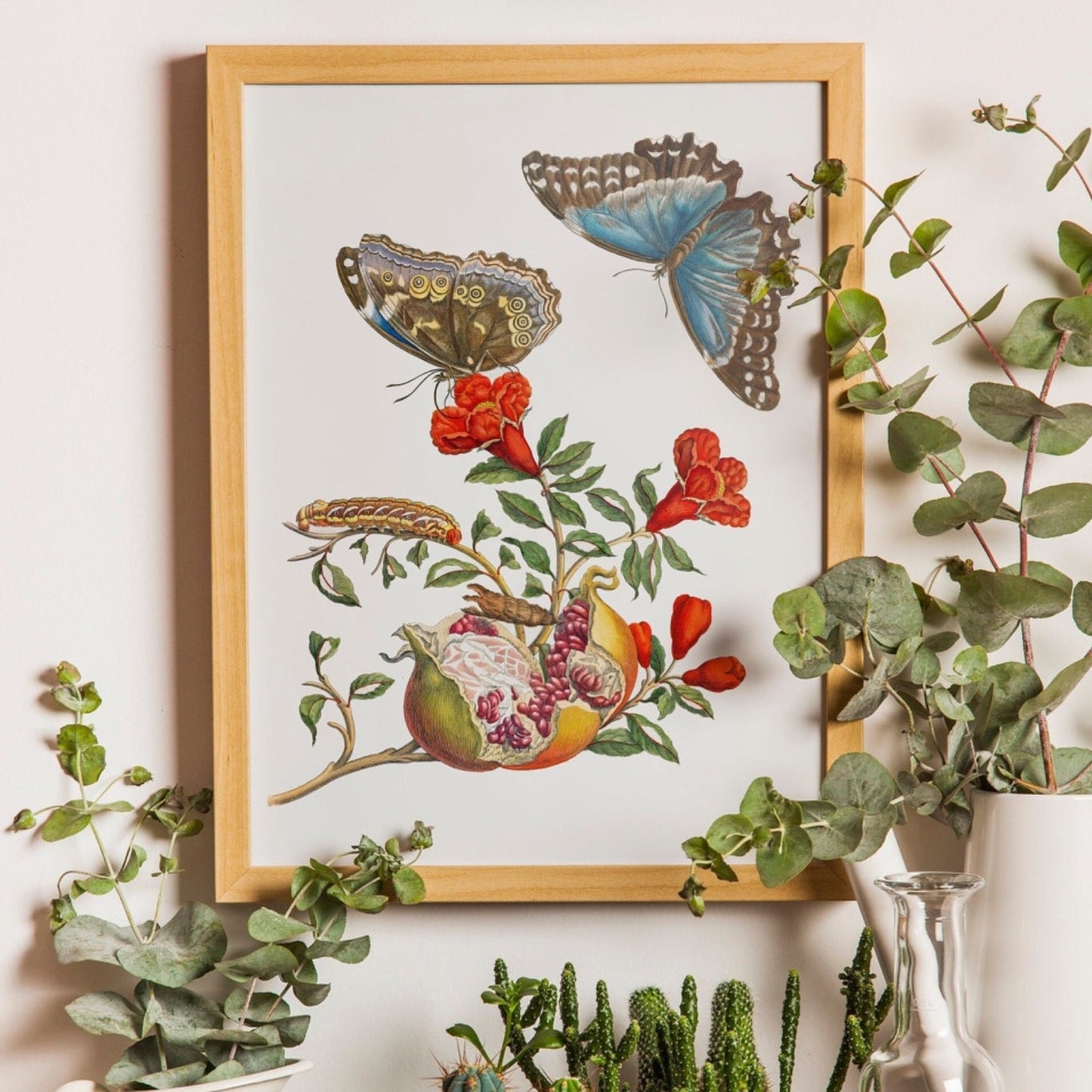 MARIA SIBYLLA MERIAN - Pomegranate Tree With Caterpillar & Butterfly - Pathos Studio - Posters, Prints, & Visual Artwork