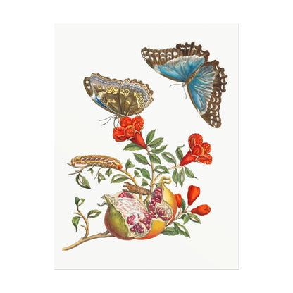 MARIA SIBYLLA MERIAN - Pomegranate Tree With Caterpillar & Butterfly - Pathos Studio - Posters, Prints, & Visual Artwork