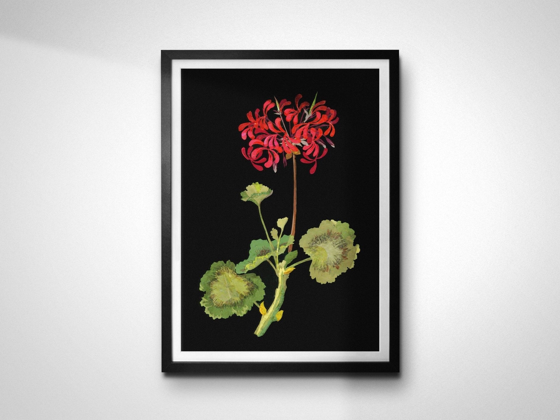 MARY DELANY - Geranium - Pathos Studio - Posters, Prints, & Visual Artwork