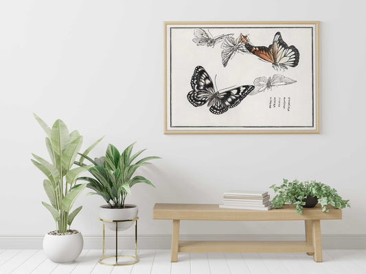 MORIMOTO TOKO - Schmetterlingsillustration