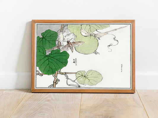 MORIMOTO TOKO - Moth Illustration