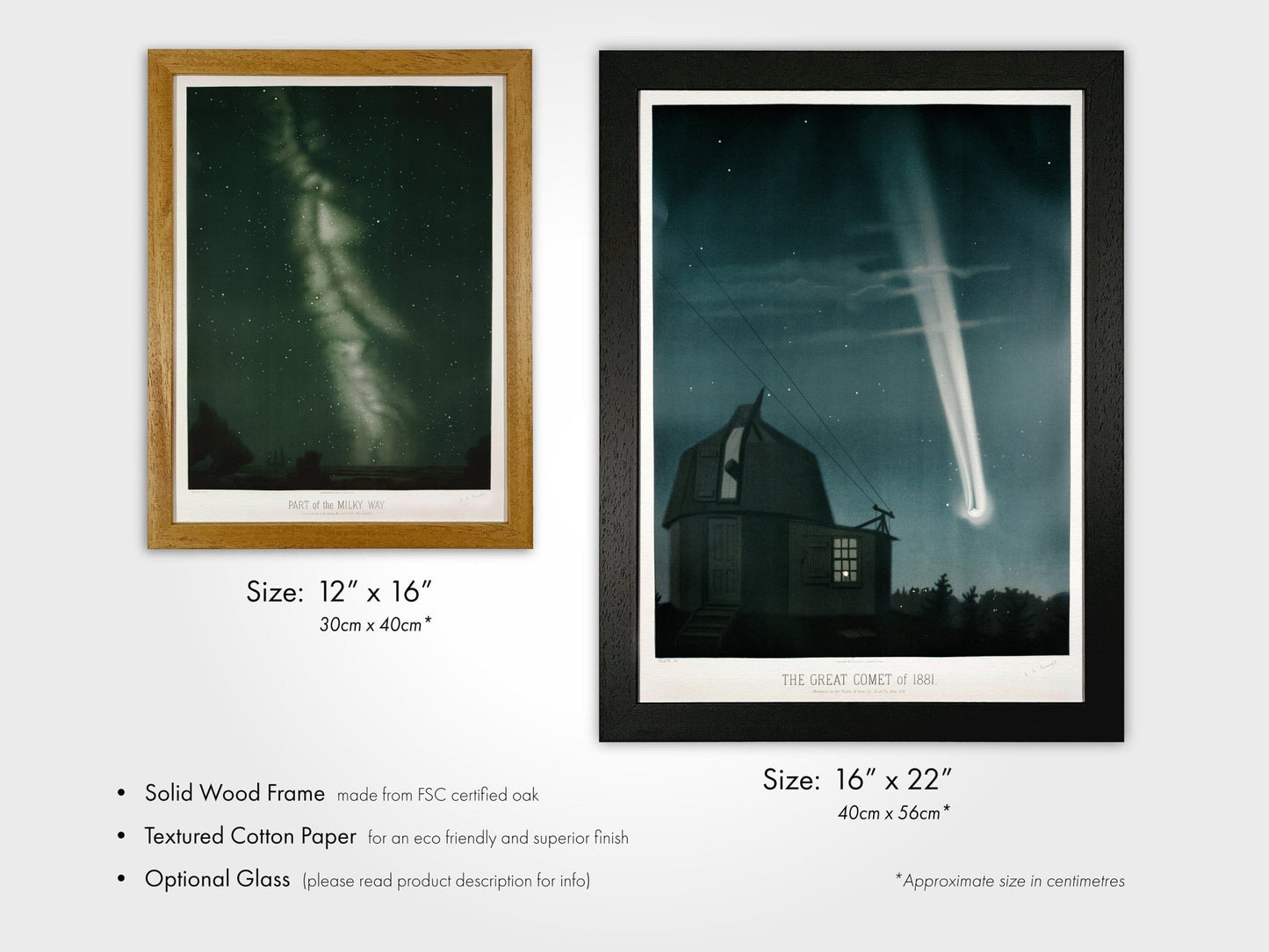 TROUVELOT - Set of 3 Astronomy Prints - Pathos Studio - Art Print Sets